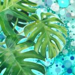 Botanical (Cheese Plant Leaf) Coaster