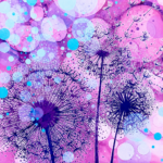 Dandelions (Purple, Pink & Aqua with 3 Flowers) Coaster