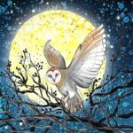 Stargazing (Owl) Coaster