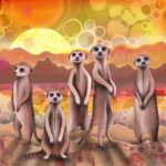 Wild Animals (Meerkat) Coaster